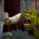 Shrek screams at Donkey in the movie Shrek.